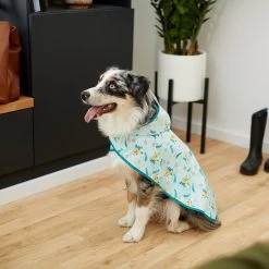Disney Lightweight Flounder Print Dog & Cat Raincoat 11 Disney Lightweight Flounder Print Dog & Cat Raincoat -Happy Paw Shop 220303 PT8. AC SS1800 V1646178839