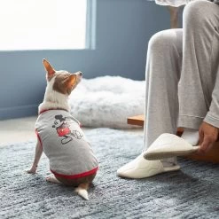 Disney Mickey Mouse Classic Dog & Cat T-shirt -Happy Paw Shop 220324 PT8. AC SS1800 V1646181474