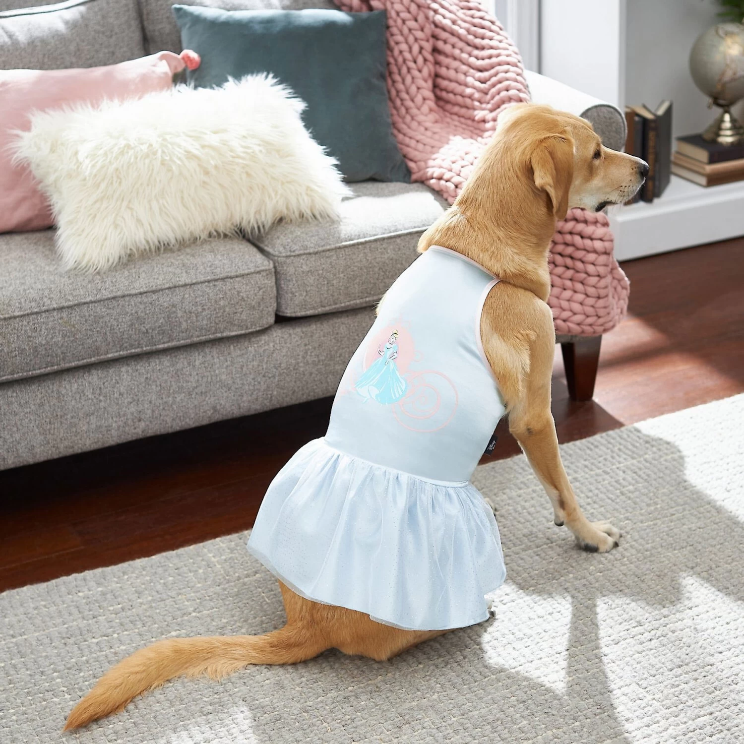 Disney Cinderella Satin Dog & Cat Dress 6 Disney Cinderella Satin Dog & Cat Dress - Image 6