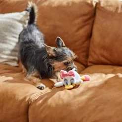 Disney Daisy Duck Plush Squeaky Dog Toy 5 Disney Daisy Duck Plush Squeaky Dog Toy -Happy Paw Shop 220642 PT2. AC SS1800 V1612366637
