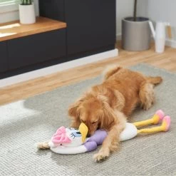 Disney Daisy Duck Wagazoo Plush Squeaky Dog Toy, Extra Long -Happy Paw Shop 220651 PT2. AC SS1800 V1612366662