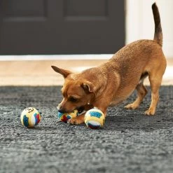 Disney Donald Duck Fetch Squeaky Tennis Ball Dog Toy, 3 Count -Happy Paw Shop 220671 PT2. AC SS1800 V1612367228