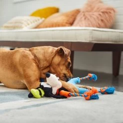 Disney Goofy Plush With Rope Squeaky Dog Toy -Happy Paw Shop 220712 PT2. AC SS1800 V1612365684