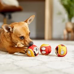 Disney Mickey Mouse Fetch Squeaky Tennis Ball Dog Toy, 3 Count 5 Disney Mickey Mouse Fetch Squeaky Tennis Ball Dog Toy, 3 Count -Happy Paw Shop 220754 PT2. AC SS1800 V1612366913