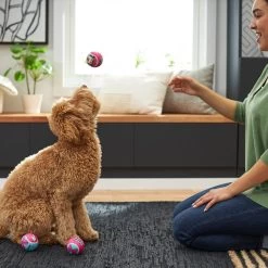 Disney Minnie Mouse Fetch Squeaky Tennis Ball Dog Toy, 3 Count -Happy Paw Shop 220803 PT2. AC SS1800 V1612366616