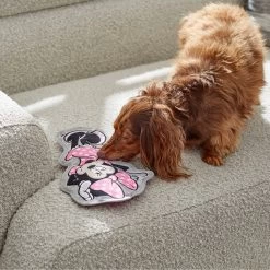 Disney Minnie Mouse Flat Plush Squeaky Dog Toy 5 Disney Minnie Mouse Flat Plush Squeaky Dog Toy -Happy Paw Shop 220805 PT2. AC SS1800 V1612364883