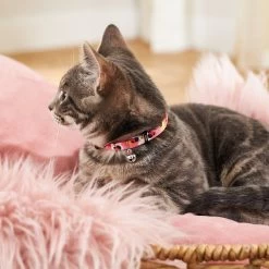 Disney Minnie Mouse Floral Cat Collar 9 Disney Minnie Mouse Floral Cat Collar -Happy Paw Shop 226277 PT4. AC SS1800 V1614028939