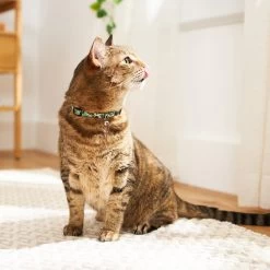 Disney Mickey Mouse Hawaiian Cat Collar -Happy Paw Shop 226283 PT4. AC SS1800 V1614028659