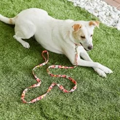 Disney Minnie Mouse Floral Dog Leash -Happy Paw Shop 226286 PT4. AC SS1800 V1614020435