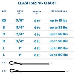 Disney Minnie Mouse Floral Dog Leash -Happy Paw Shop 226286 PT5. AC SS1800 V1626810446