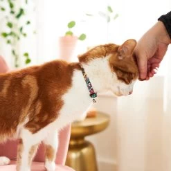 Disney Princess Cat Collar 9 Disney Princess Cat Collar -Happy Paw Shop 226287 PT4. AC SS1800 V1614274907