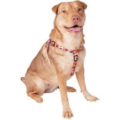 Disney Minnie Mouse Floral Dog Harness -Happy Paw Shop 226360 PT2. AC SS1800 V1613419879