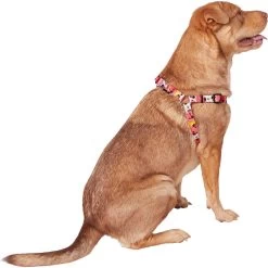 Disney Minnie Mouse Floral Dog Harness -Happy Paw Shop 226360 PT3. AC SS1800 V1613420193