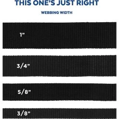 Disney Minnie Mouse Floral Dog Harness -Happy Paw Shop 226360 PT4. AC SS1800 V1642111366