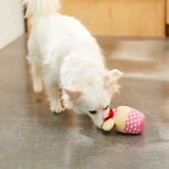 Disney Minnie Mouse Cupcake Plush Squeaky Dog Toy -Happy Paw Shop 230761 PT2. AC SS1800 V1612365181