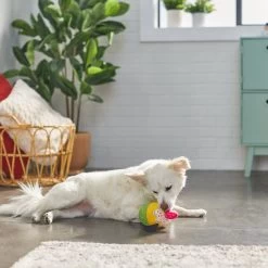 Disney Pluto Cupcake Plush Squeaky Dog Toy -Happy Paw Shop 230769 PT3. AC SS1800 V1621382915