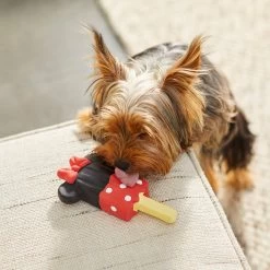 Disney Minnie Mouse Ice Pop Latex Squeaky Dog Toy 5 Disney Minnie Mouse Ice Pop Latex Squeaky Dog Toy -Happy Paw Shop 239897 PT3. AC SS1800 V1624648847