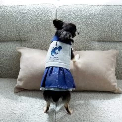 Disney Cinderella "Dreams Come True" Dog & Cat Sweatshirt Dress -Happy Paw Shop 264640 PT7. AC SS1800 V1637729522