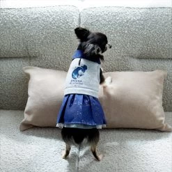 Disney Cinderella "Dreams Come True" Dog & Cat Sweatshirt Dress -Happy Paw Shop 264640 PT8. AC SS1800 V1629487173