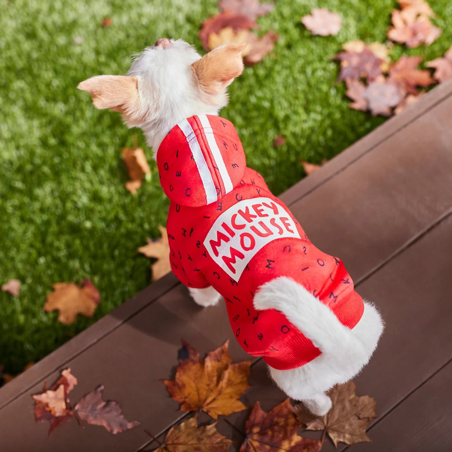 Disney Mickey Mouse Graphic Dog & Cat Hoodie 8 Disney Mickey Mouse Graphic Dog & Cat Hoodie - Image 8