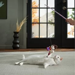 Disney Hocus Pocus' Mary's Vacuum Teaser Cat Toy With Catnip -Happy Paw Shop 267876 PT3. AC SS1800 V1623245551