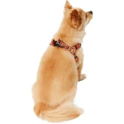 Disney Minnie Halloween Dog Harness -Happy Paw Shop 272961 PT7. AC SS1800 V1624047157