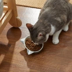 Disney Figaro No-Skid Ceramic Cat Bowl 7 Disney Figaro No-Skid Ceramic Cat Bowl -Happy Paw Shop 280580 PT3. AC SS1800 V1629986631