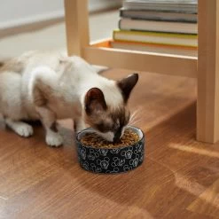 Disney Mickey Mouse Black & White No-Skid Ceramic Dog & Cat Bowl 8 Disney Mickey Mouse Black & White No-Skid Ceramic Dog & Cat Bowl -Happy Paw Shop 280593 PT3. AC SS1800 V1629986575