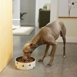 Disney Mickey Mouse Watercolor Silhouette No-Skid Ceramic Dog & Cat Bowl -Happy Paw Shop 280598 PT2. AC SS1800 V1629986704