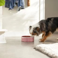 Disney Mickey Mouse Red Deco No-Skid Ceramic Dog & Cat Bowl -Happy Paw Shop 280602 PT2. AC SS1800 V1629987211