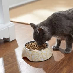 Disney Winnie The Pooh Non-Skid Stainless Steel With Melamine Stand Dog & Cat Bowl, Yellow -Happy Paw Shop 280632 PT3. AC SS1800 V1629986909