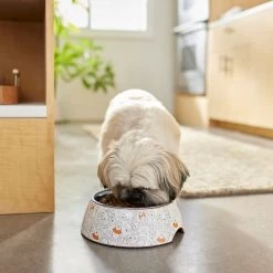 Disney Winnie The Pooh Non-Skid Stainless Steel With Melamine Stand Dog & Cat Bowl, Orange 8 Disney Winnie The Pooh Non-Skid Stainless Steel With Melamine Stand Dog & Cat Bowl, Orange -Happy Paw Shop 280633 PT2. AC SS1800 V1629986748