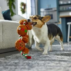 Disney Holiday Mickey & Minnie Mouse Gingerbread Cookies Plush With Rope Squeaky Dog Toy -Happy Paw Shop 287437 PT2. AC SS1800 V1695933067