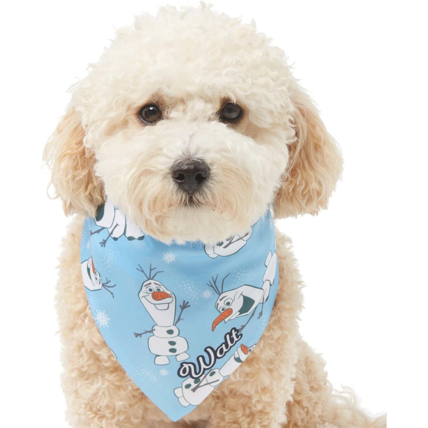 Disney Frozen's Olaf & Snow Personalized Dog & Cat Bandana 7 Disney Frozen's Olaf & Snow Personalized Dog & Cat Bandana - Image 7