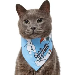 Disney Frozen's Olaf & Snow Personalized Dog & Cat Bandana 15 Disney Frozen's Olaf & Snow Personalized Dog & Cat Bandana -Happy Paw Shop 290146 PT7. AC SS1800 V1625152400