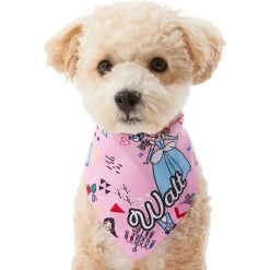 Disney Teeny Princesses Personalized Dog & Cat Bandana -Happy Paw Shop 290154 PT6. AC SS1800 V1630429297