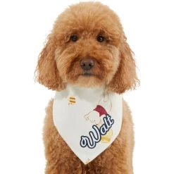 Disney Winnie The Pooh Personalized Dog & Cat Bandana -Happy Paw Shop 290158 PT6. AC SS1800 V1630429051