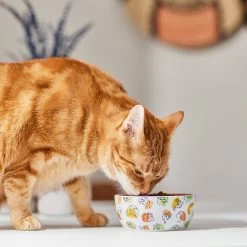 Disney Princesses Non-Skid Ceramic Cat Bowl 7 Disney Princesses Non-Skid Ceramic Cat Bowl -Happy Paw Shop 291395 PT3. AC SS1800 V1633979293