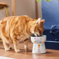 Disney Winnie The Pooh Tall Shape Non-Skid Elevated Ceramic Cat Bowl -Happy Paw Shop 291407 PT3. AC SS1800 V1633979783