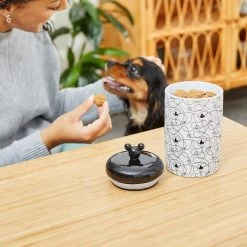 Disney Mickey Lines Ceramic Treat Jar -Happy Paw Shop 291412 PT2. AC SS1800 V1633978785