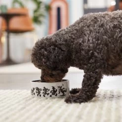 Disney Mickey Mouse Non-Skid Ceramic Dog & Cat Bowl 8 Disney Mickey Mouse Non-Skid Ceramic Dog & Cat Bowl -Happy Paw Shop 291422 PT2. AC SS1800 V1633979437