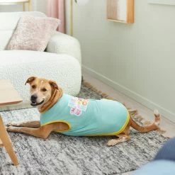 Disney Mickey & Minnie "Hip Hop Hooray" Dog & Cat T-Shirt -Happy Paw Shop 297548 PT5. AC SS1800 V1640712466