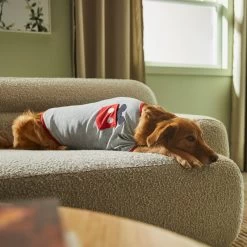 Disney Mickey Mouse Pocket Dog & Cat T-shirt 11 Disney Mickey Mouse Pocket Dog & Cat T-shirt -Happy Paw Shop 311790 PT8. AC SS1800 V1643324287