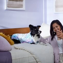 Disney Mickey & Friends Tie Dye Dog & Cat Jersey PJs -Happy Paw Shop 311817 PT8. AC SS1800 V1643323767