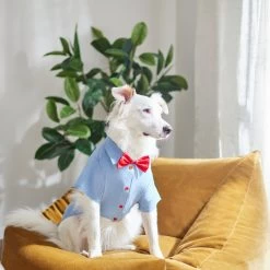 Disney Mickey Mouse Chambray Dog & Cat Shirt -Happy Paw Shop 311822 PT8. AC SS1800 V1643329761