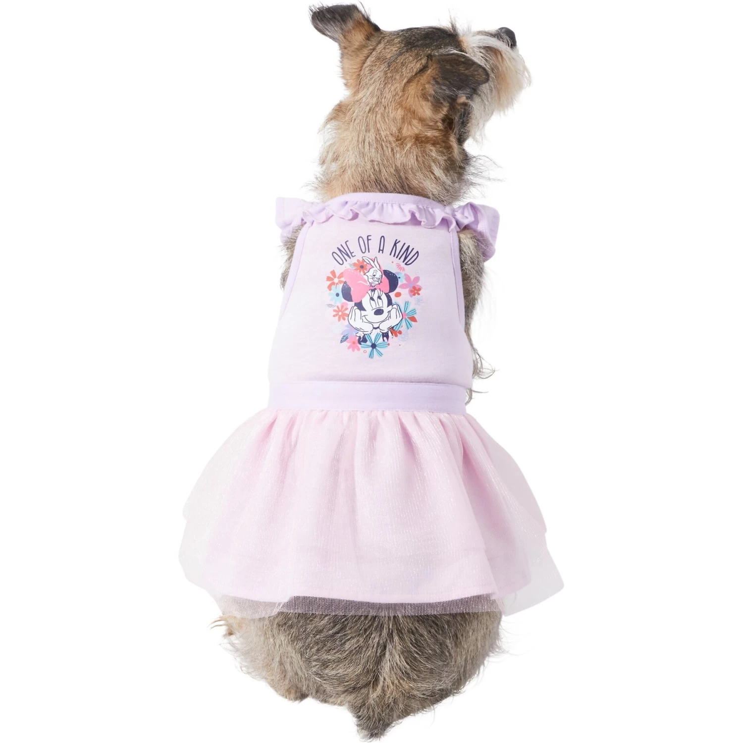 Disney Minnie Mouse "One Of A Kind" Dog & Cat Dress 1 Disney Minnie Mouse "One Of A Kind" Dog & Cat Dress