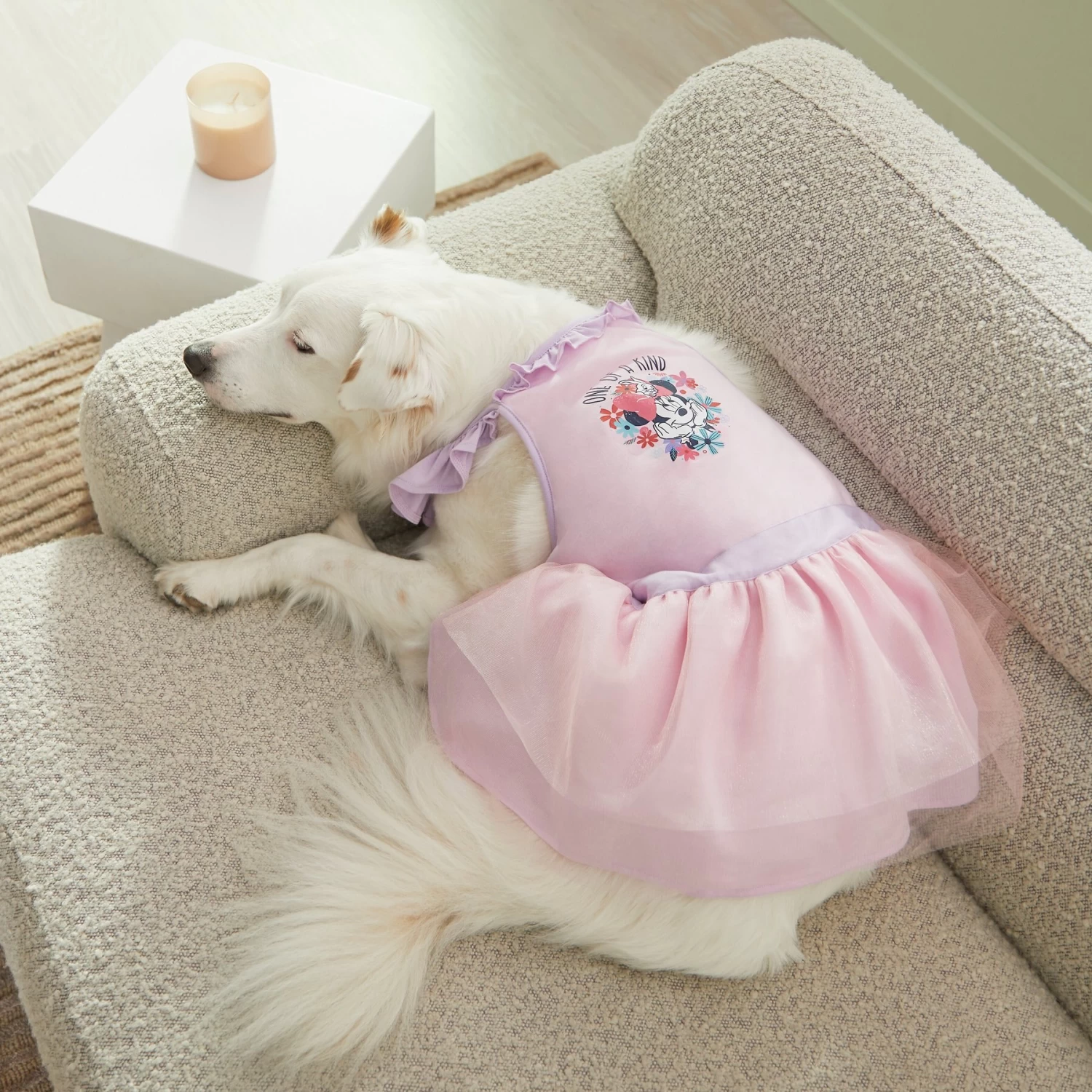 Disney Minnie Mouse "One Of A Kind" Dog & Cat Dress 6 Disney Minnie Mouse "One Of A Kind" Dog & Cat Dress - Image 6