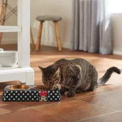 Disney Minnie Mouse Peek-A-Boo Melamine Stainless Steel Double Dog & Cat Bowl -Happy Paw Shop 315286 PT3. AC SS1800 V1647282324