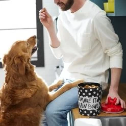 Disney Minnie Mouse Peek-A-Boo Melamine Dog & Cat Treat Jar -Happy Paw Shop 315289 PT2. AC SS1800 V1647282455