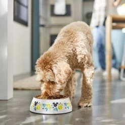 Disney Mickey Mouse Lemon Melamine Stainless Steel Dog & Cat Bowl -Happy Paw Shop 315295 PT2. AC SS1800 V1647282906